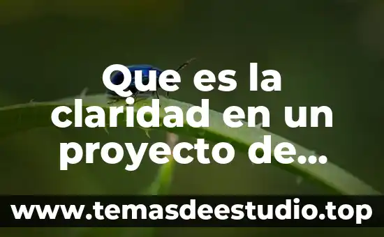 Que es la claridad en un proyecto de investigacion