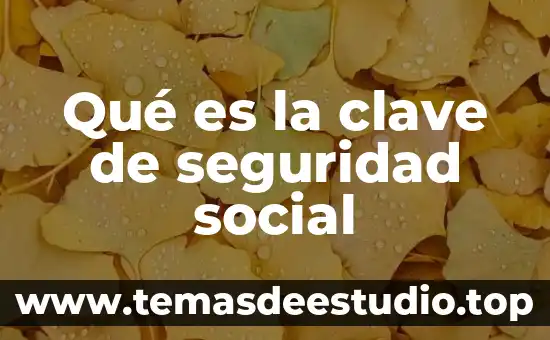 Qué es la clave de seguridad social