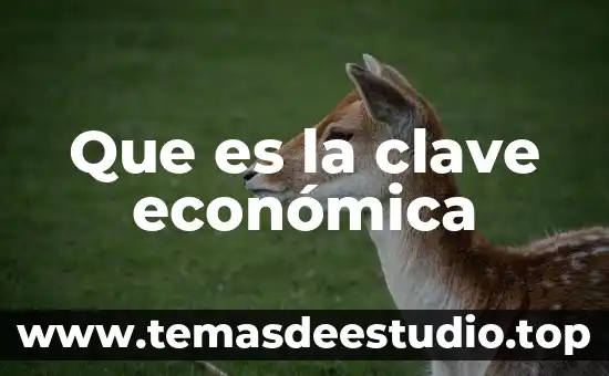 Doctrina económica que es 7 Que es la clave económica