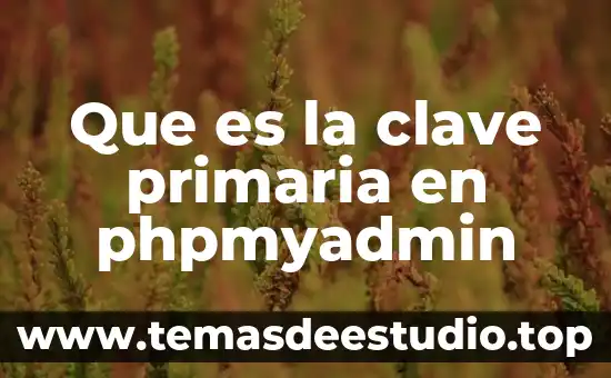 Que es la idea primaria 6 Que es la clave primaria en phpmyadmin