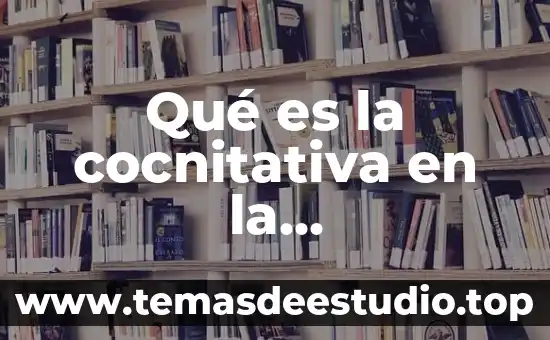 Qué es la cocnitativa en la comunicación