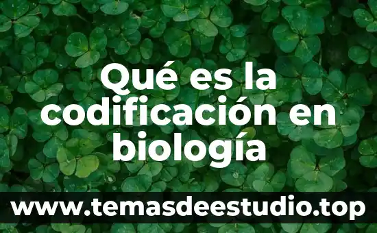 Que es la biologia libros 6 Qué es la codificación en biología