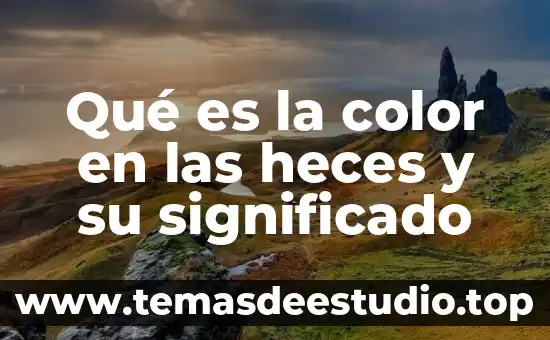 Que es un esquema descriptivo significado 7 Qué es la color en las heces y su significado