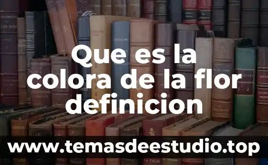 Qué es una función en definición 4 Que es la colora de la flor definicion