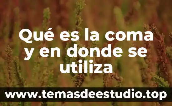 Que es el punto coma 8 Qué es la coma y en donde se utiliza