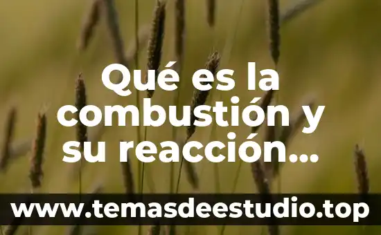 Que es un cosmético y que tipo de reacción es 4 Qué es la combustión y su reacción química