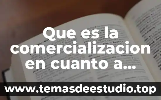 Que es la comercializacion en cuanto a computadoras