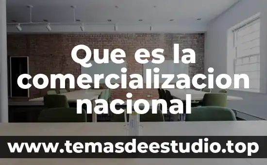 Qué es una empresa nacional y extranjera 3 Que es la comercializacion nacional