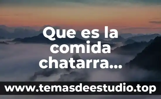 Que es comida inorganica 4 Que es la comida chatarra grosería