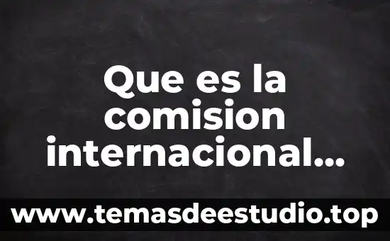 Que es la comision internacional de colonizacion ejidal