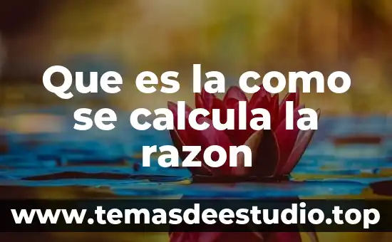 Qué es el rescate selectivo en obra civil 5 Que es la como se calcula la razon