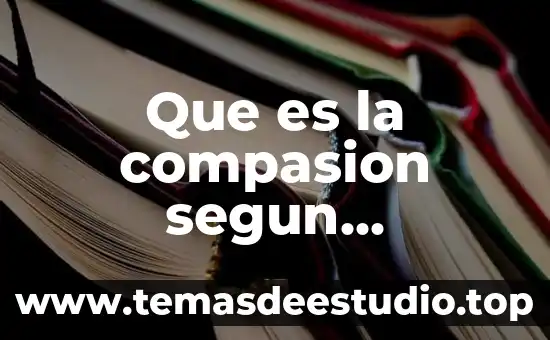 Que es un paradigma segun raul avila 6 Que es la compasion segun mindfulness