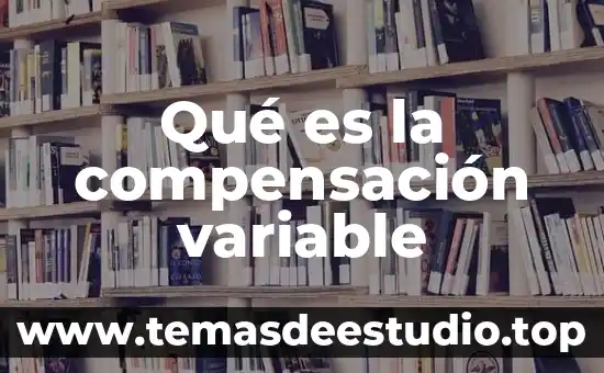 Que es una sociedad de capital variable y ejemplos 5 Qué es la compensación variable