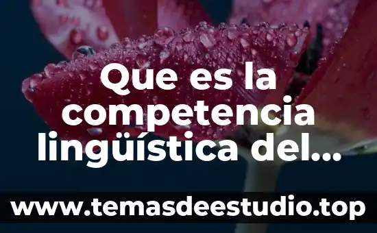 Que es la diversidad lingüística y cultural delos pueblos hispanohablantes 6 Que es la competencia lingüística del niño