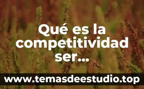 Que es derecho a recursos ante un tribunal competente 7 Qué es la competitividad ser competente