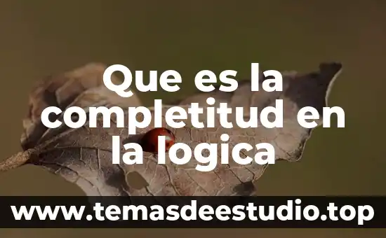 Que es la completitud en la logica