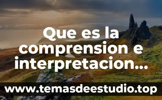 Sangria en los textos que es y como aplicarla 3 Que es la comprension e interpretacion de textos