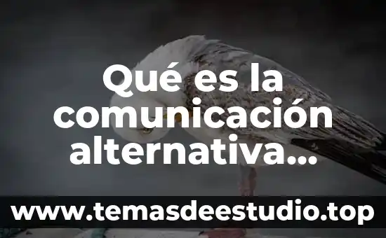 Que es la comunicación full duplex 8 Qué es la comunicación alternativa Yahoo