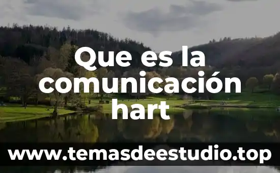Que es una sociedad por capital 4 Que es la comunicación hart