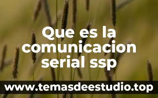 Que es la comunicacion serial ssp