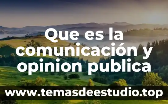 Qué es la identidad pública 6 Que es la comunicación y opinion publica