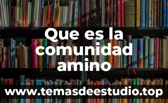 Que es la comunidad amino