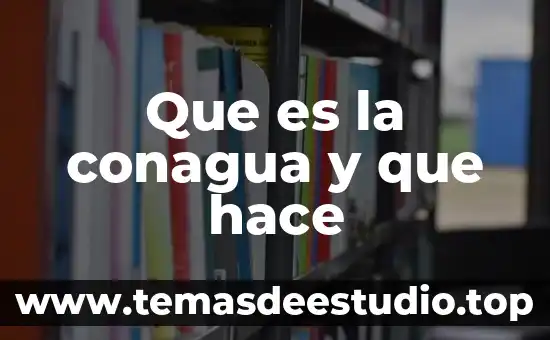 Que es y que hace la corte de justicia 8 Que es la conagua y que hace