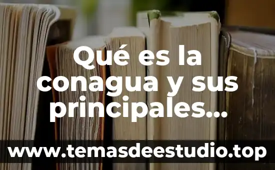Macroeconomia que es cuentas principales y sus definiciones 7 Qué es la conagua y sus principales funciones