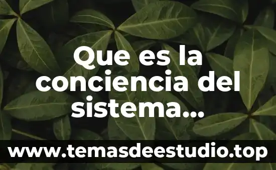 Qué es etimología del término psicología 6 Que es la conciencia del sistema conciencia individual en psicología