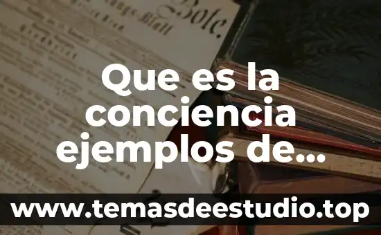 Que es la conciencia ejemplos de experiencia