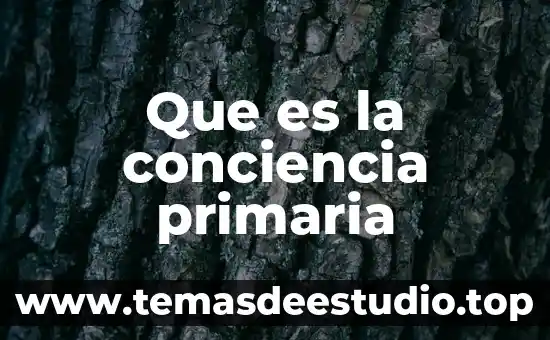 Cómo puede la conciencia reconocer lo que es bueno 4 Que es la conciencia primaria