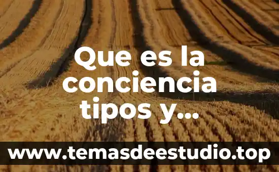 Cómo puede la conciencia reconocer lo que es bueno 6 Que es la conciencia tipos y caracteristicas