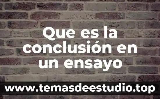 Que es la conclusión en un ensayo