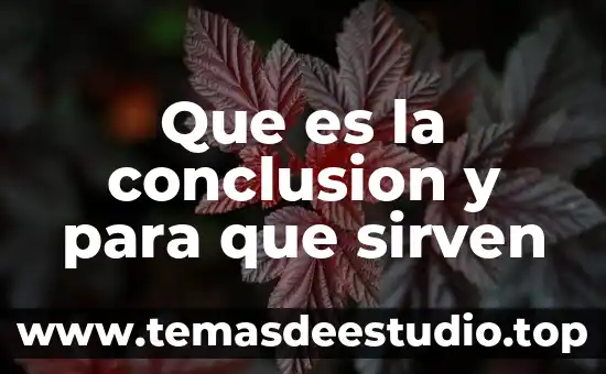 Que es la conclusion y para que sirven
