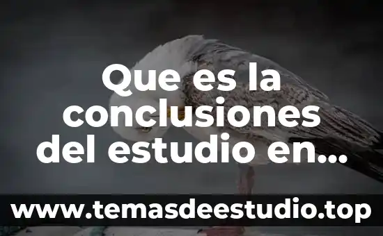 Que es la conclusiones del estudio en el corte etnografico