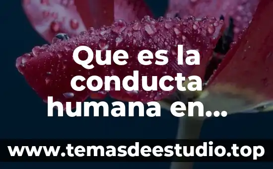 Que es la conducta humana en sociedad