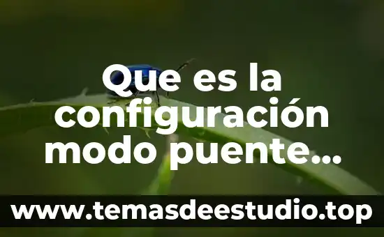 Que es la configuración modo puente en infinitum