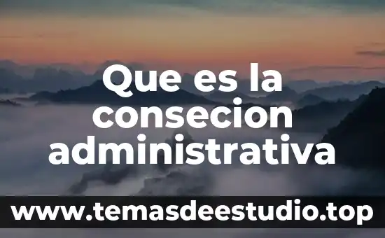Que es la consecion administrativa