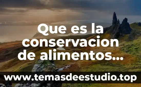 Qué es la proteína de los alimentos 4 Que es la conservacion de alimentos frescos