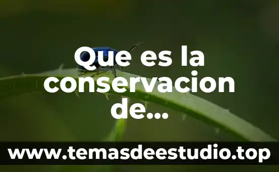 Que es stock de alimentos 4 Que es la conservacion de conservacion de alimentos