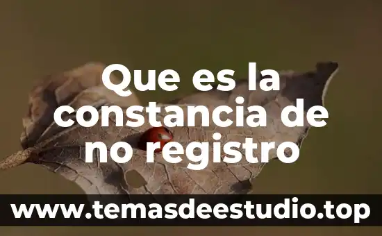 Que es registro conductual 6 Que es la constancia de no registro