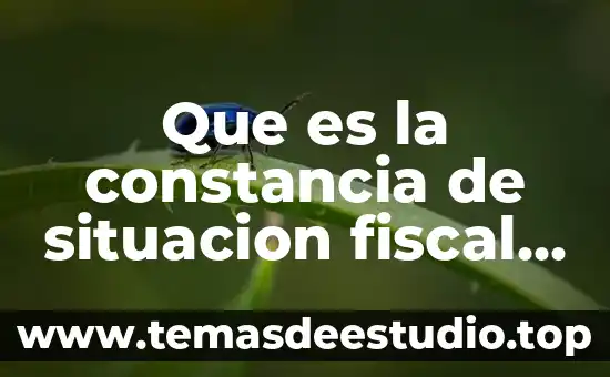 Que es un diario de consumo de alimentos 2018 4 Que es la constancia de situacion fiscal 2018