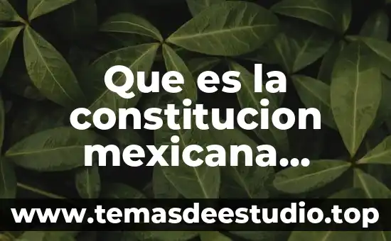 Que es el internet breve historia 4 Que es la constitucion mexicana explicacion breve para niños