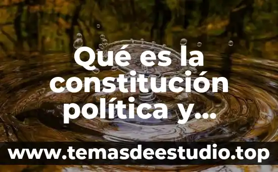 Símbolo lo que fue lo que sera lo que es 4 Qué es la constitución política y cuándo fue creada