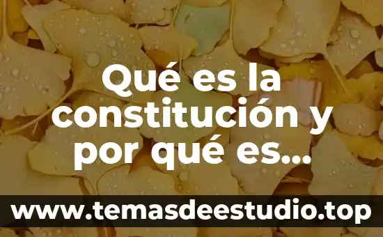 Por que es importante la sanidad animal el estado 8 Qué es la constitución y por qué es importante