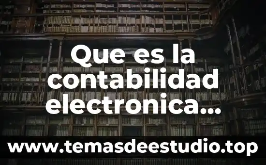Que es la proteccion de los bienes publicos 3 Que es la contabilidad electronica instituto de contadores publicos