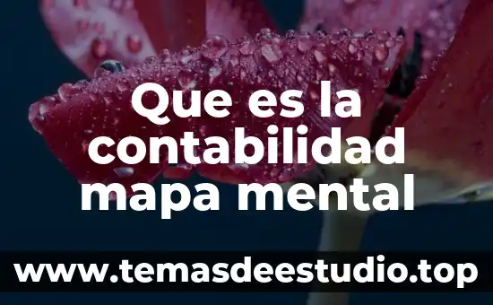 Que es la contabilidad mapa mental