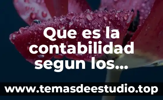 Qué es la medición y control de rentabilidad en contabilidad 5 Que es la contabilidad segun los costos