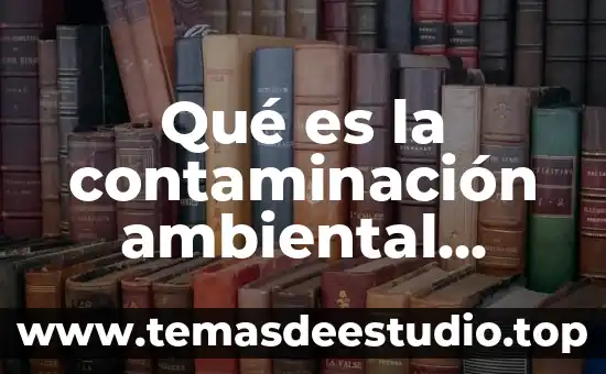 Que es la contaminacion termica definicion 5 Qué es la contaminación ambiental afecta los bosques