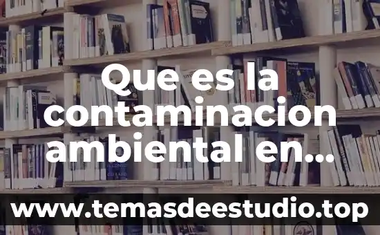 Que es la contaminacion ambiental en yahoo